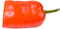 chilli
