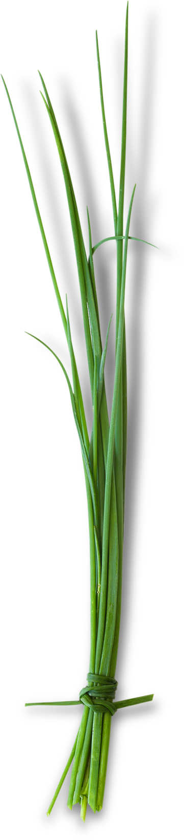 green leaves